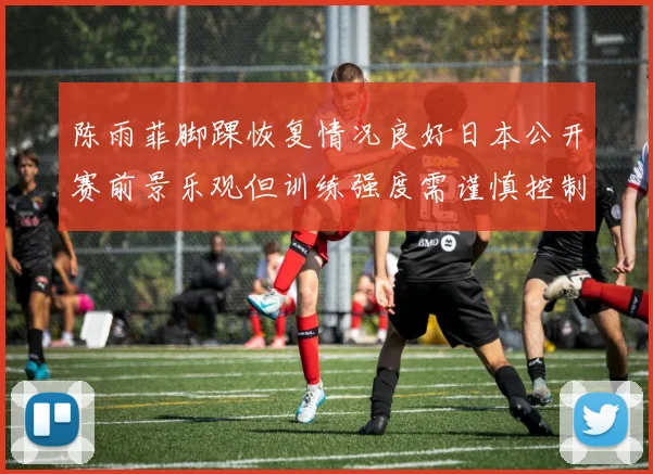 陈雨菲脚踝恢复情况良好日本公开赛前景乐观但训练强度需谨慎控制